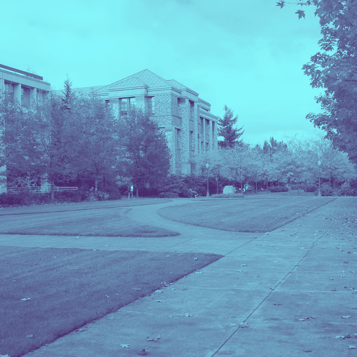 A college campus building surrounded by several trees.